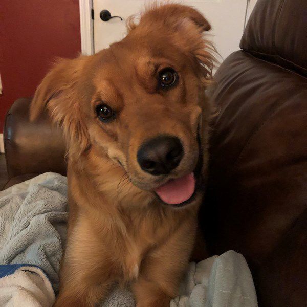 Jerry: 'I’m really listening Mom!'